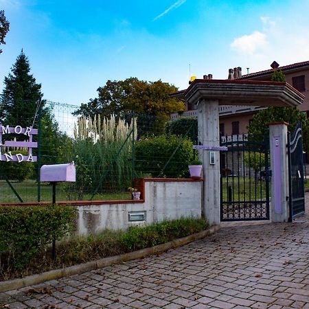 Amor Di Lavanda Cingoli Bagian luar foto