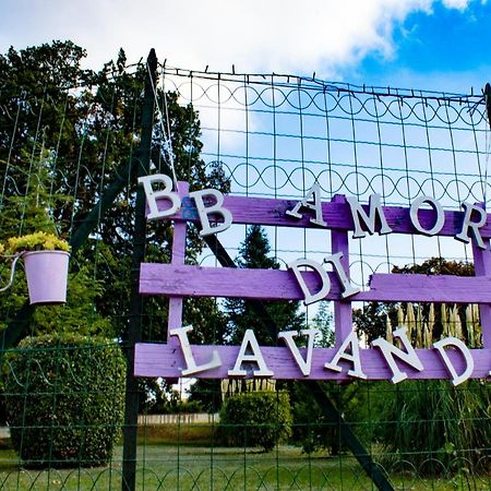 Amor Di Lavanda Cingoli Bagian luar foto