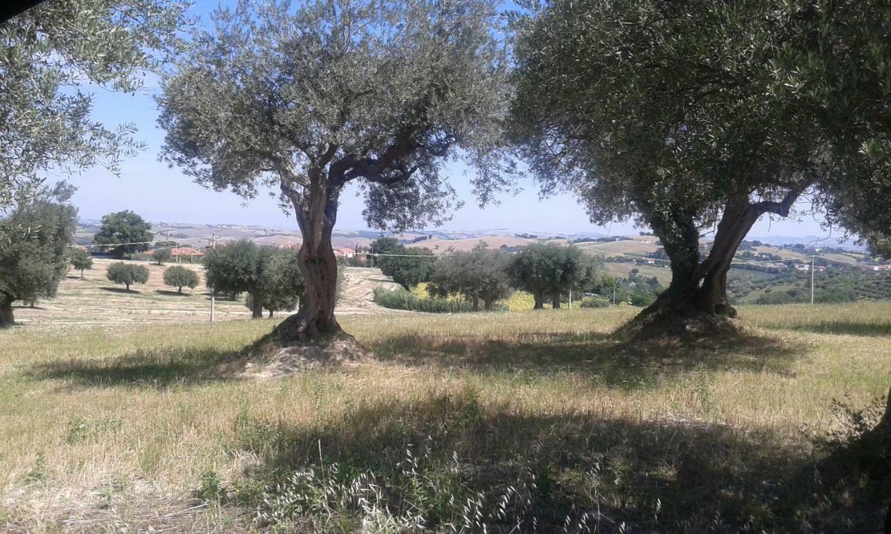 Amor Di Lavanda Cingoli Bagian luar foto
