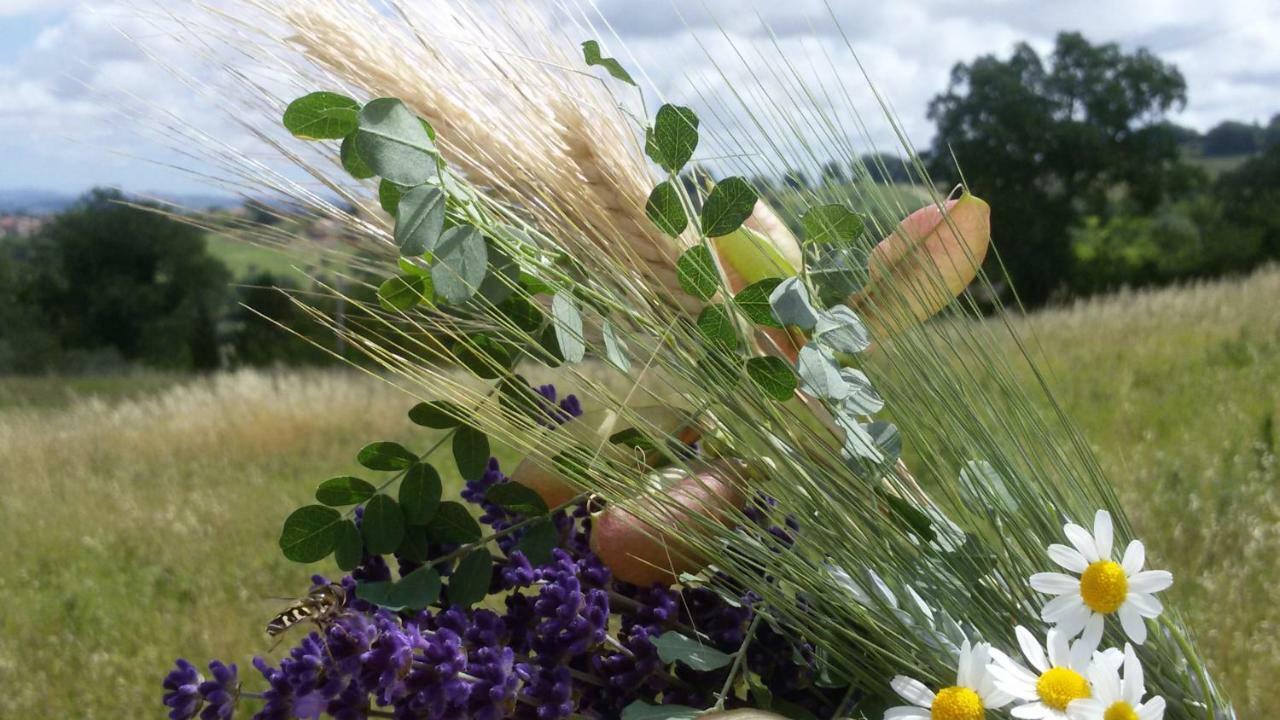 Amor Di Lavanda Cingoli Bagian luar foto