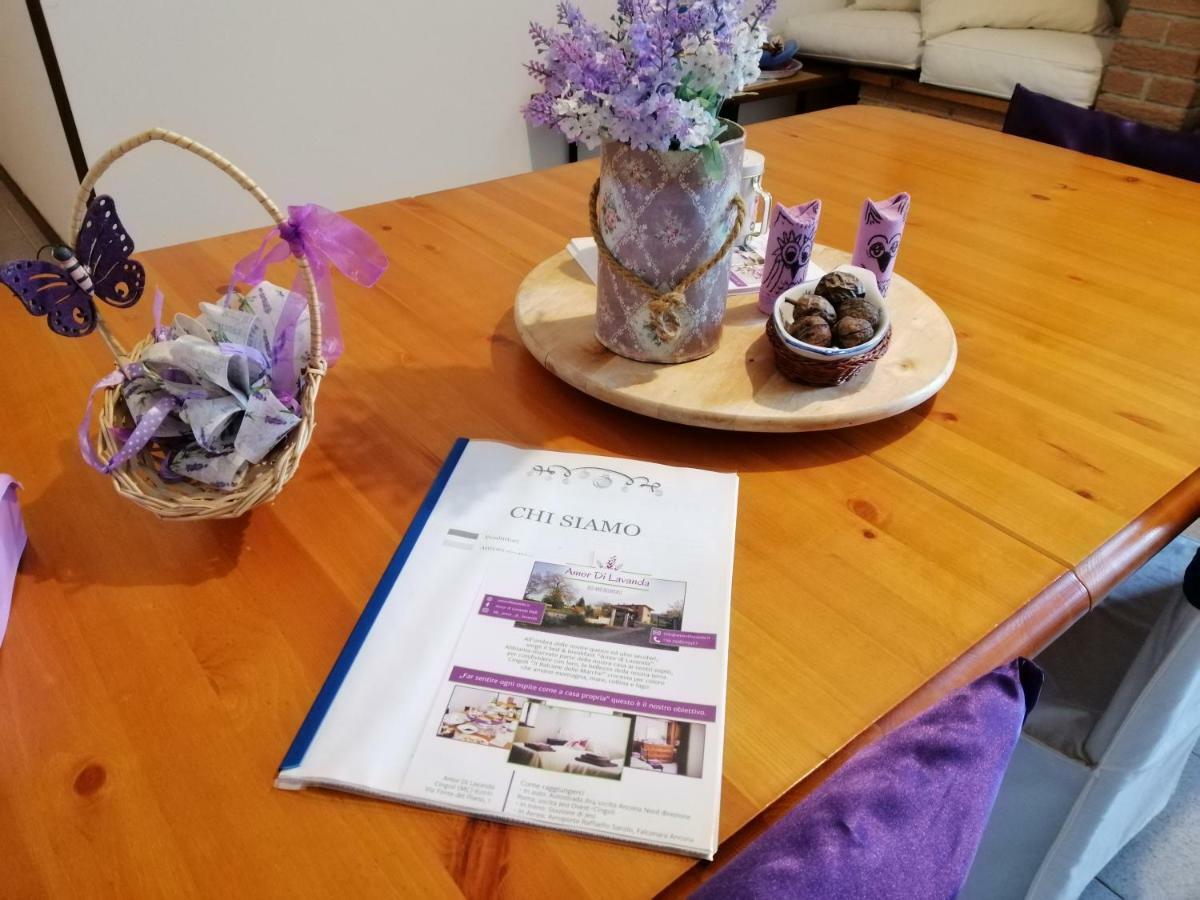 Amor Di Lavanda Cingoli Bagian luar foto