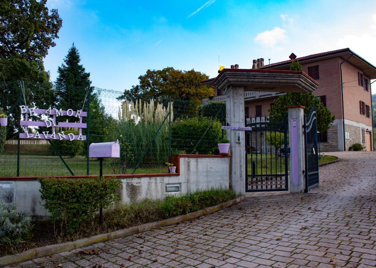 Amor Di Lavanda Cingoli Bagian luar foto