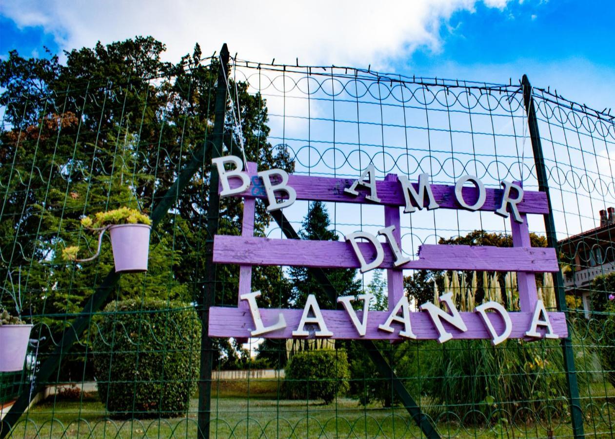 Amor Di Lavanda Cingoli Bagian luar foto